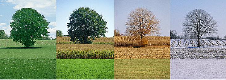 高玩用二代引擎重现当年停止开发的非官方版《辐射3》 氛围拉满