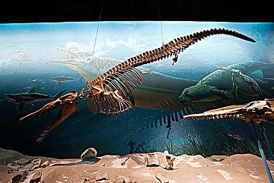 《使命召唤》未来3款游戏仍和索尼有独占协议